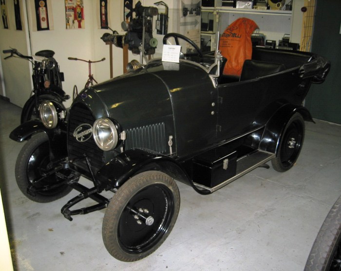 temperino_1918-foto-buch-t